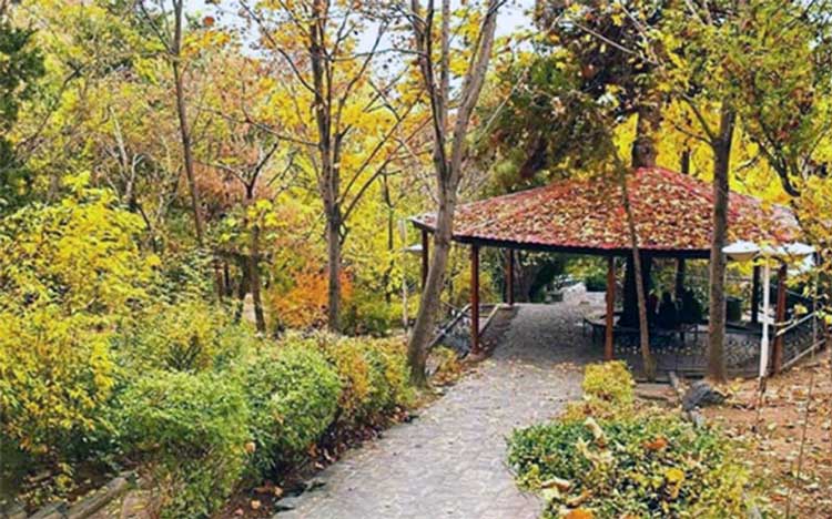 پارک جنگلی لویزان