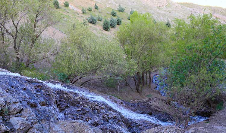 پارک جنگلی کوهسار