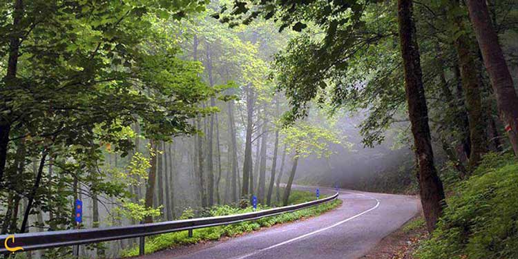 پارک جنگلی صفرا‌بسته