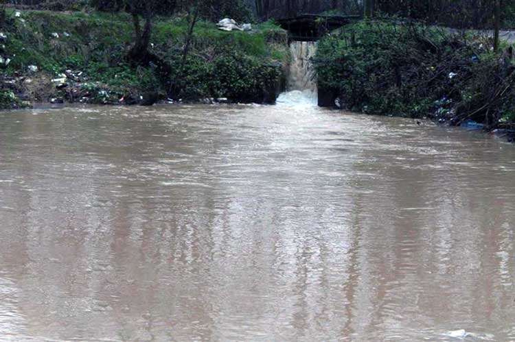 چشمه‌ "چشماگل" سنگر