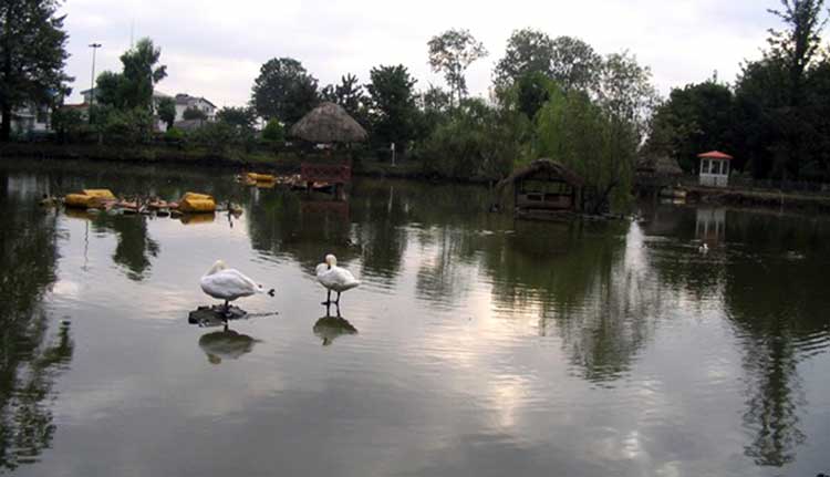 چشمه‌های لاکان