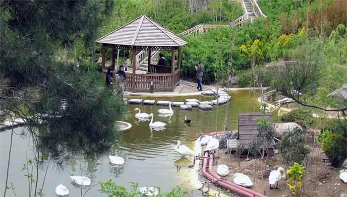 باغ پرندگان