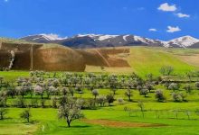 آمار و حقایق عجیب بزرگترین دشت حاصلخیز ایران