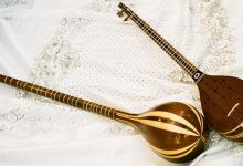 ساز ایرانی شبیه گیتار و حقایق جالب