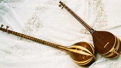 ساز ایرانی شبیه گیتار و حقایق جالب