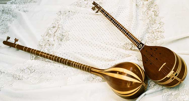 ساز ایرانی شبیه گیتار و حقایق جالب