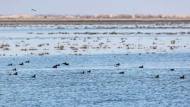 بزرگترین پارک ملی ایران و بزرگترین پارک تهران