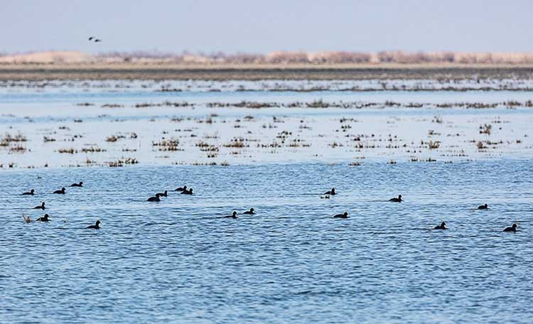 بزرگترین پارک ملی ایران و بزرگترین پارک تهران