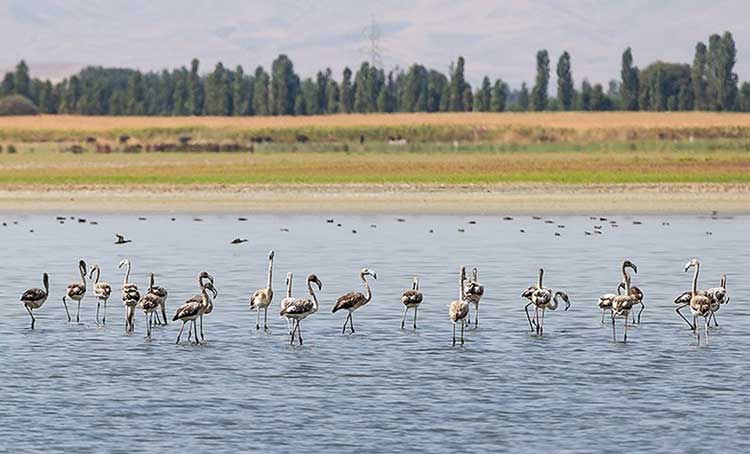 پارک ملی دریاچه ارومیه