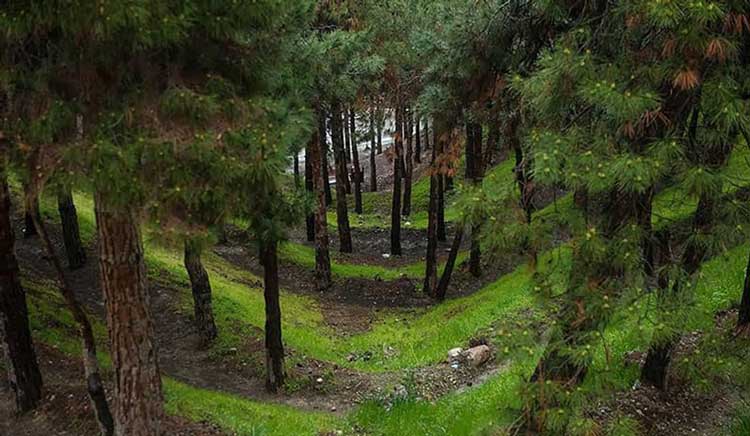 بزرگترین پارک تهران