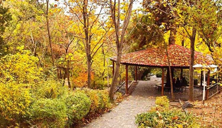 پارک جنگلی لویزان