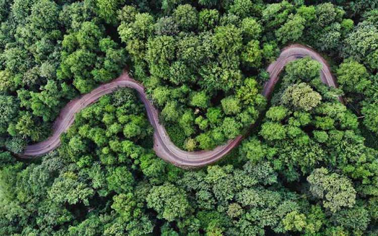 پارک ملی گلستان