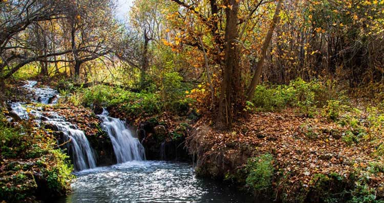 پارک ملی تندوره