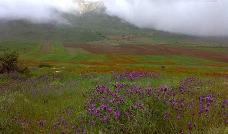 پارک ملی سالوک